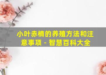 小叶赤楠的养殖方法和注意事项 - 智慧百科大全